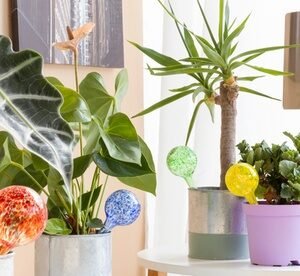 Confezione Da 4 Globi Per L Irrigazione Dell Acqua Innovagoods
