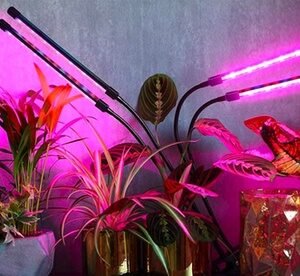 Luce Per La Coltivazione Indoor Di Piante Con 4 Strisce Led